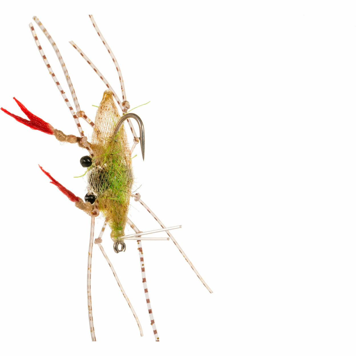 Close-up of shrimp-style soft shell fly with red tail and bead eyes