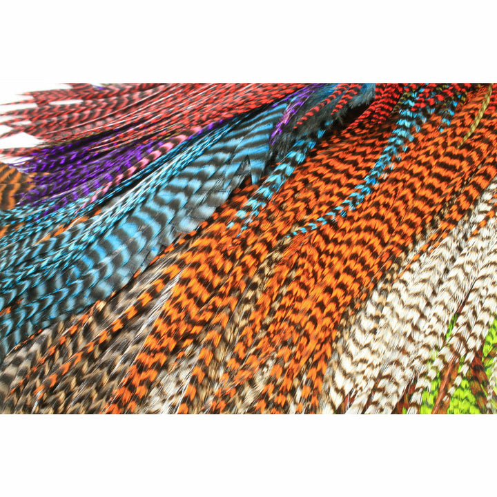 Assorted colorful fly tying feathers including blue, purple, and orange hackles
