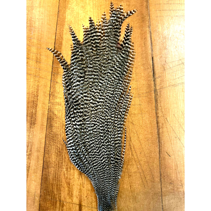 Dense black and white striped Ewing Grizzly Half Cape feather texture