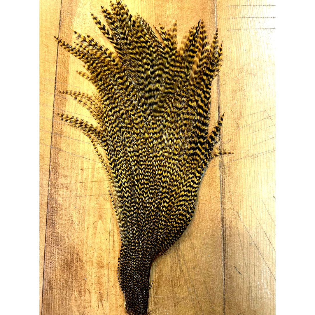 Golden-yellow and black striped Ewing Grizzly Half Cape feather