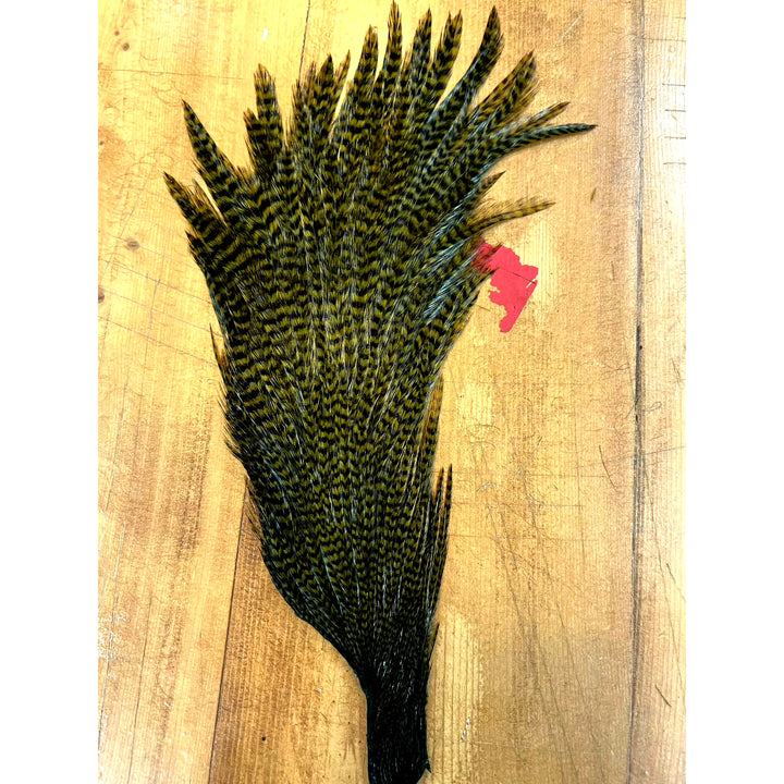 Fan of olive green and black grizzly hackle feathers for fly tying