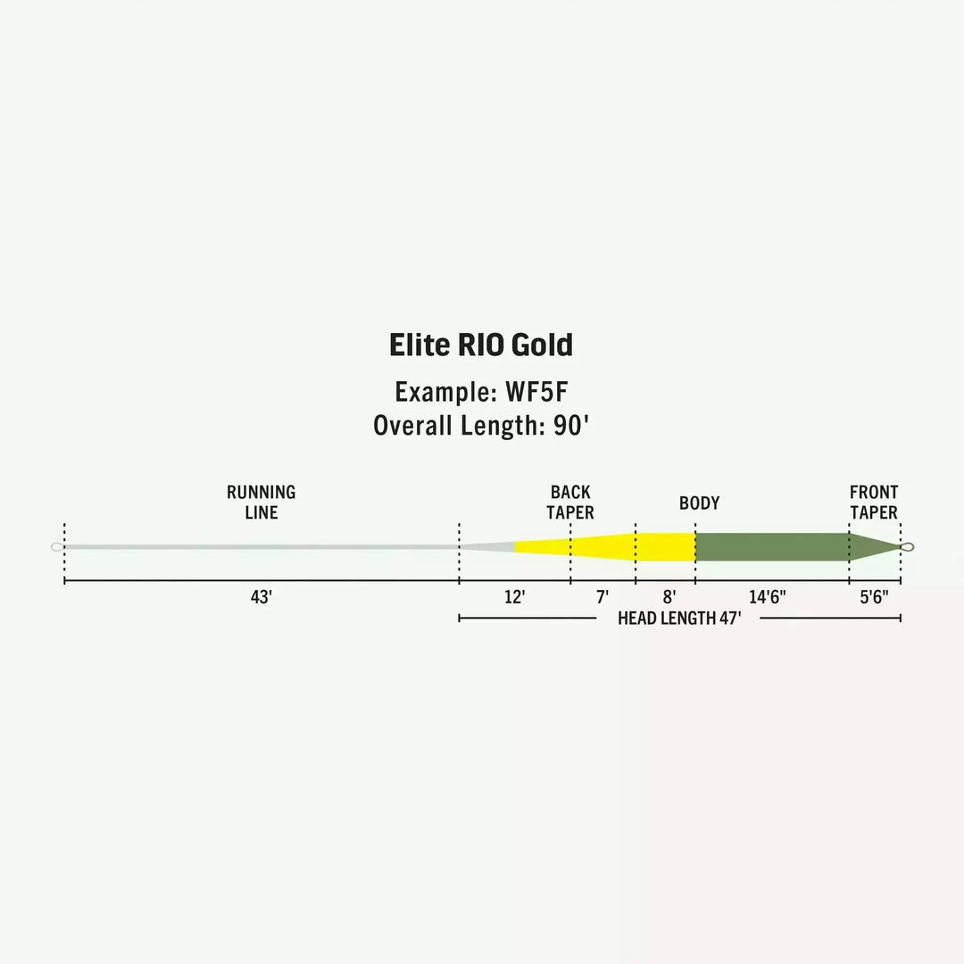 Elite Rio Gold