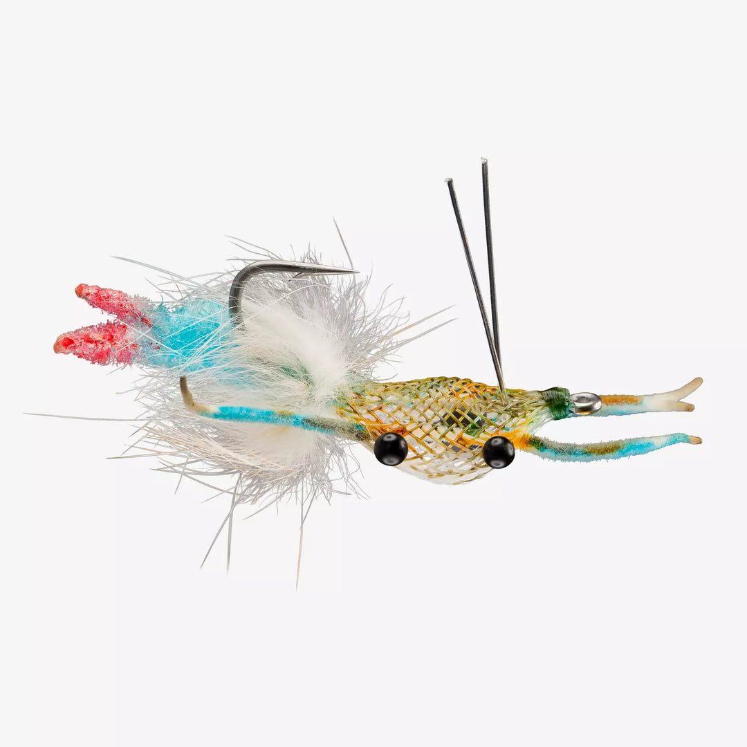 Fiddler on the Reef Blue Crab -6PK