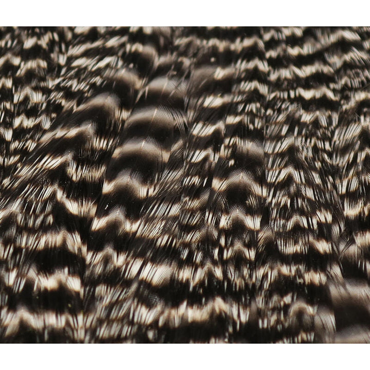 Hen Saddle - All Colors