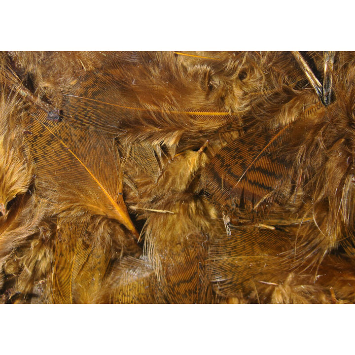 Close-up of reddish-brown barred Hungarian partridge hackle