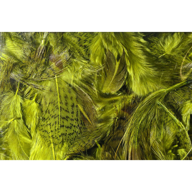 Chartreuse Hungarian Partridge soft hackle feathers for fly tying