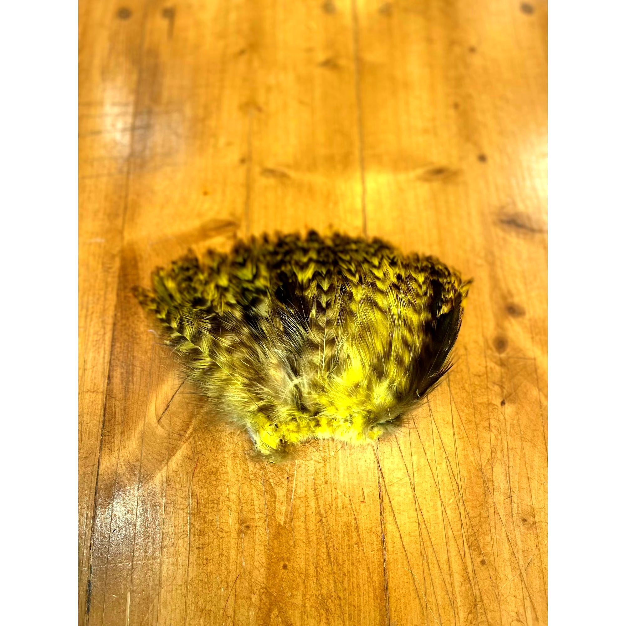Barred Strung Neck Hackle - Yellow