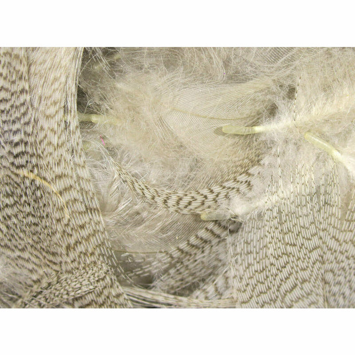Mallard Flank Feathers