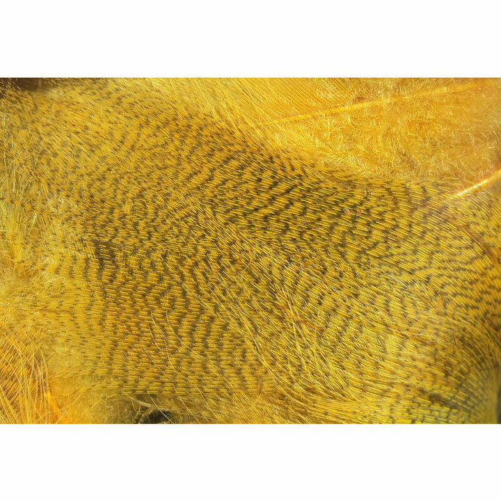 Mallard Flank Feathers