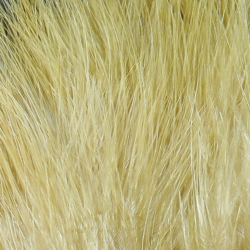 Pale yellow Marabou feather fibers macro shot