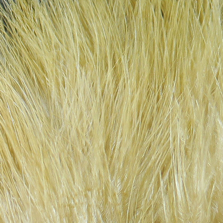 Pale yellow Marabou feather fibers macro shot