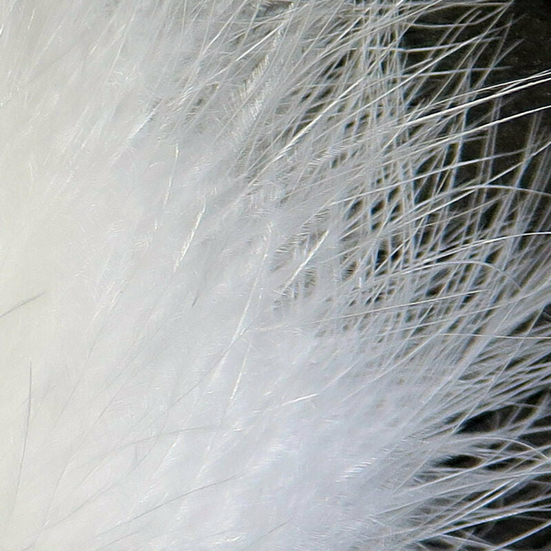 White Marabou feather translucent barbs macro