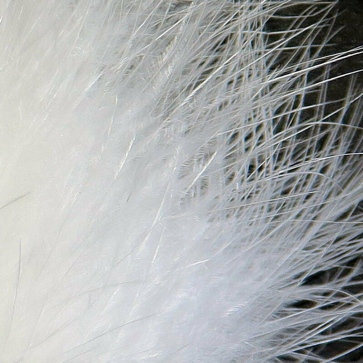 White Marabou feather translucent barbs macro