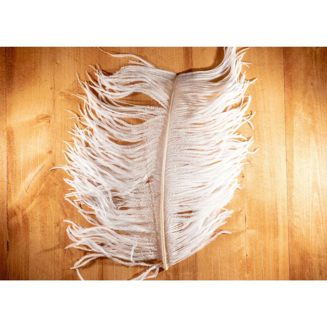 Pure white ostrich plume fly tying feather close-up