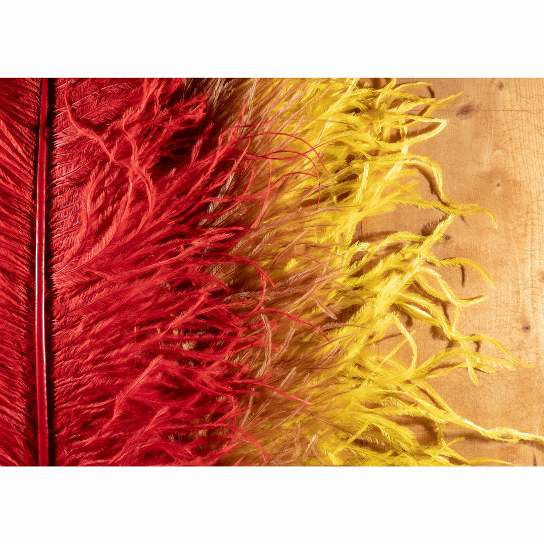 Red, tan, and yellow ostrich plume fly tying feathers