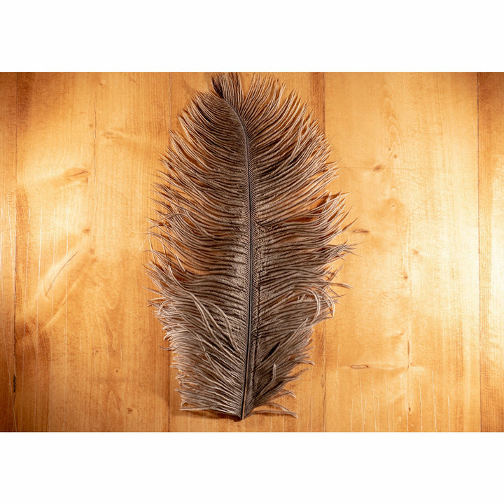 Natural brownish-gray ostrich plume fly tying feather