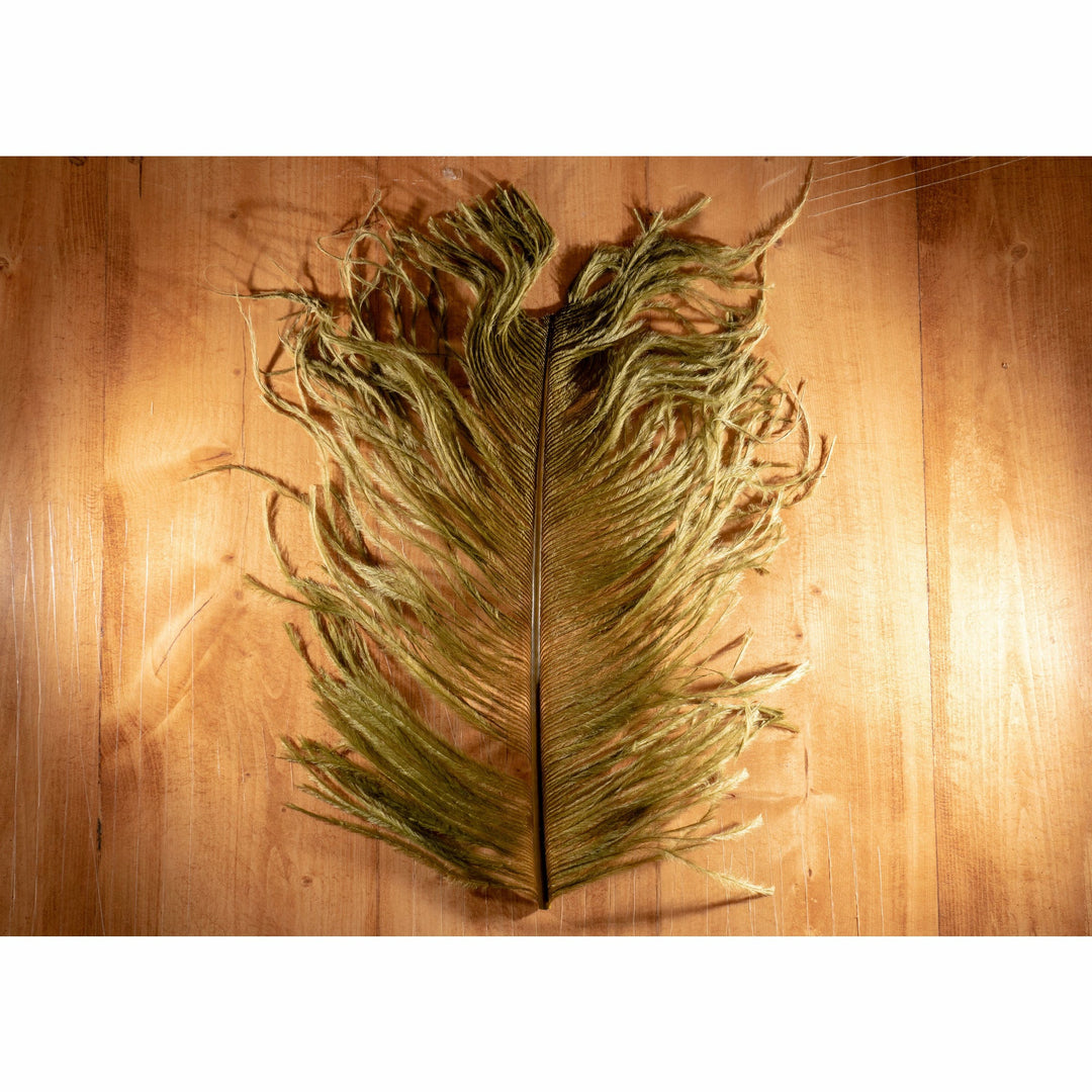 Olive green ostrich plume fly tying feather on wood