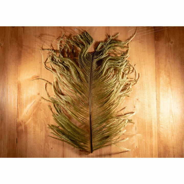 Olive green ostrich plume fly tying feather on wood