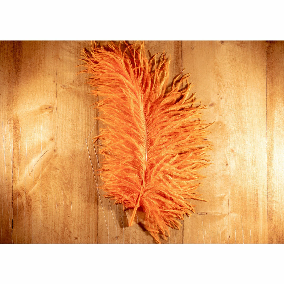 Vibrant orange ostrich plume fly tying feather