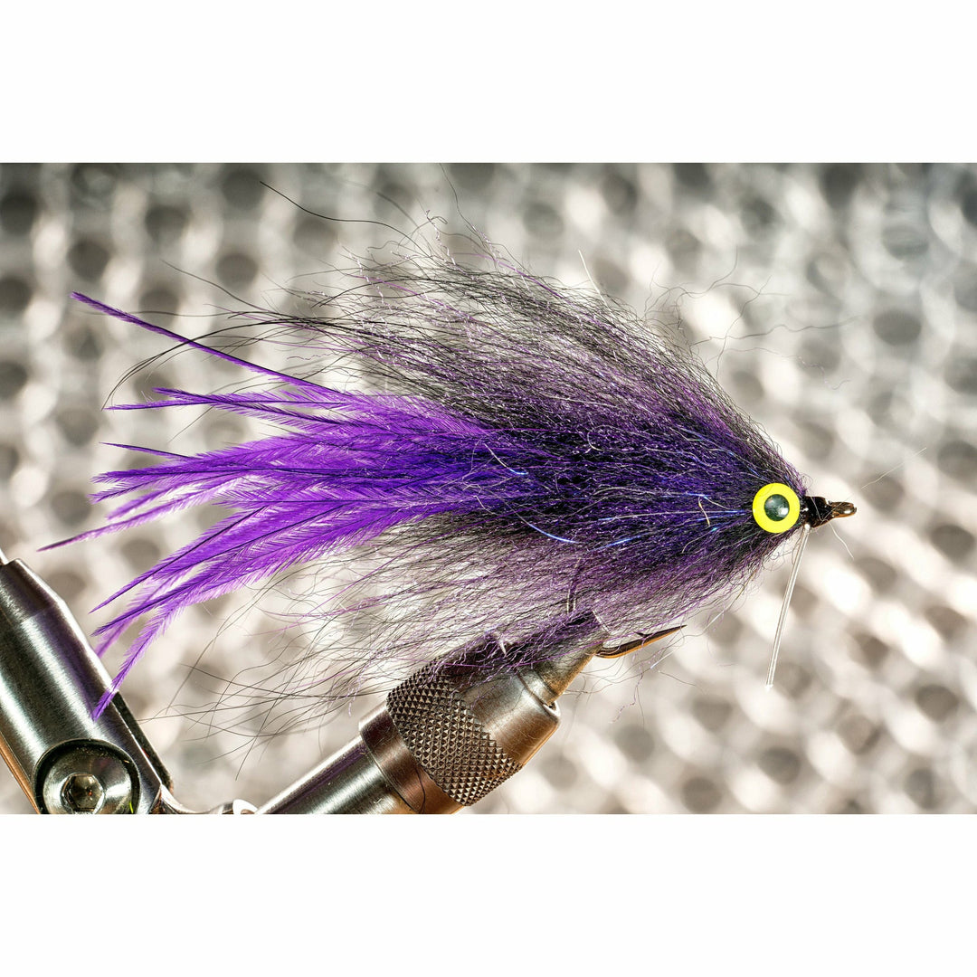 Close up of Midnight Rider fly in progress showing purple ostrich plume and fluorescent eye