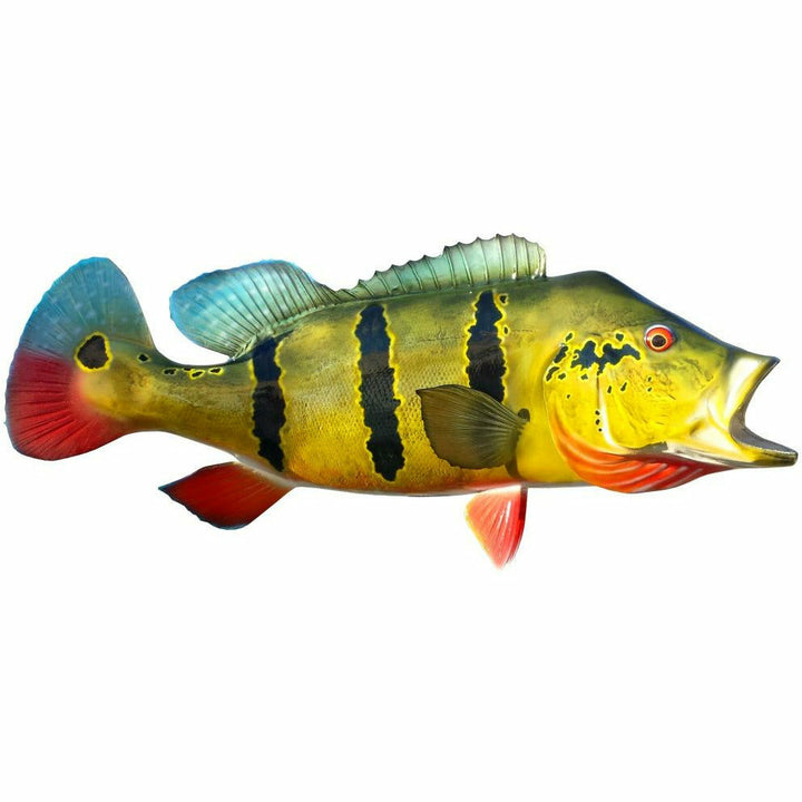 Peacock Bass taxidermy mount with neon yellow-green striped pattern