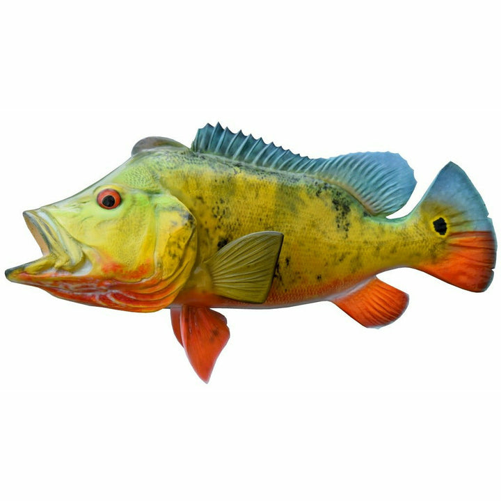 Golden-yellow Peacock Bass mount with scattered black speckles