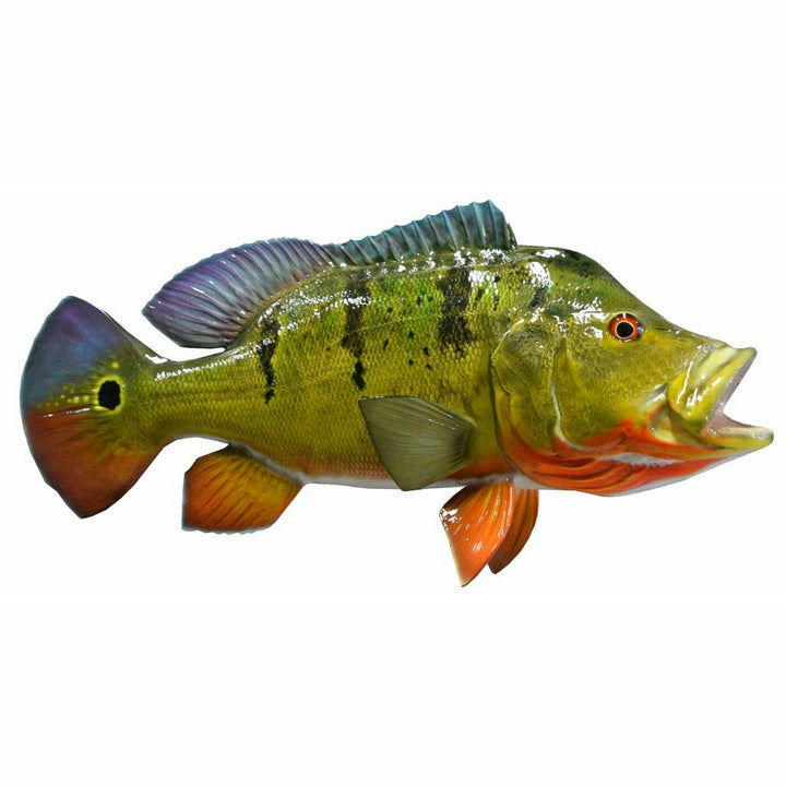 Olive-green Peacock Bass mount with iridescent purple-blue tones