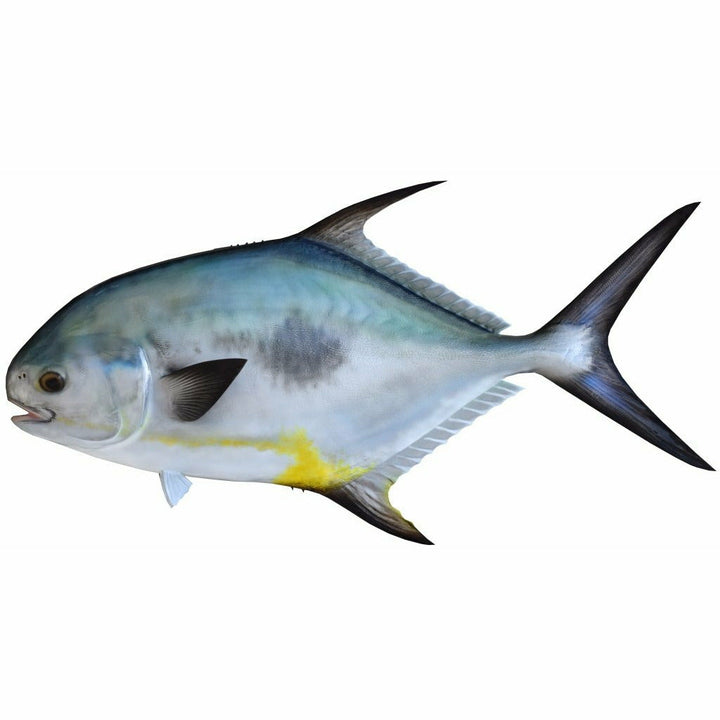 Iridescent blue-silver permit rendering with yellow lateral line patch