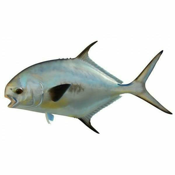 Hand-painted permit fish art with visible brushwork and black spot