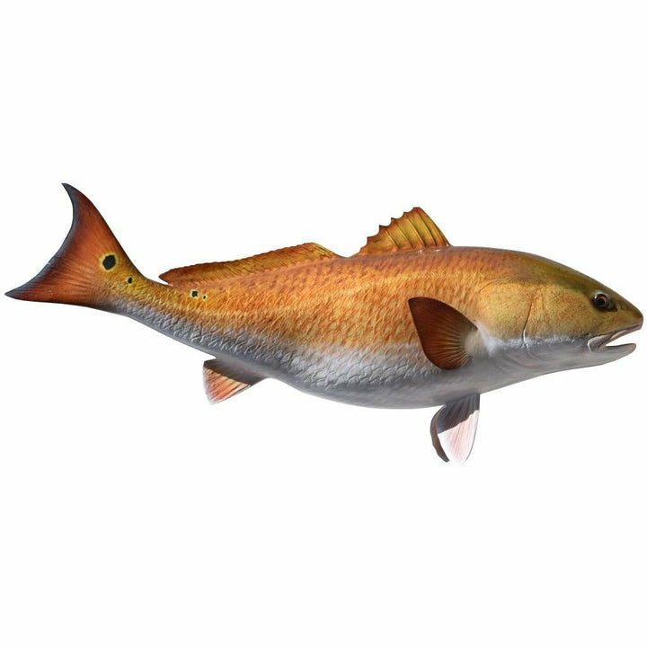 Hand-painted Redfish mount with metallic copper-orange gradient and black spots