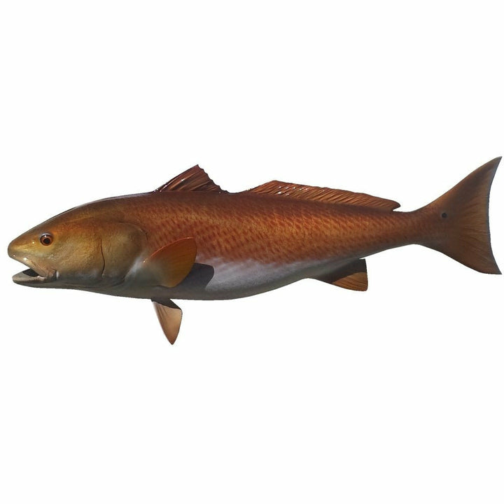 Bronze-red Redfish wall mount showing detailed scale pattern and side profile