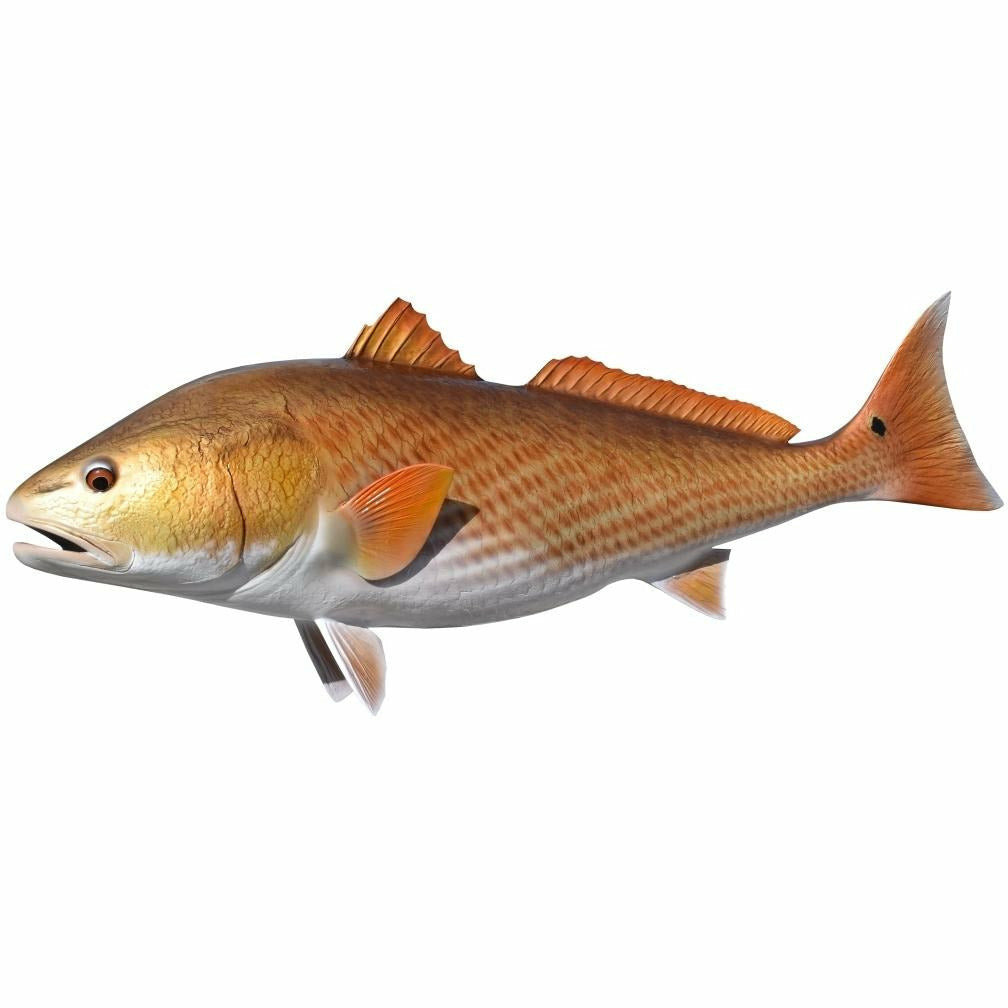 Lifelike Redfish mount with metallic gold sheen and horizontal red bars