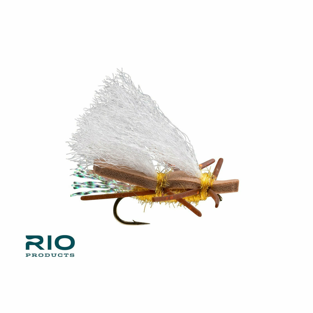 Rio Chubby Chernobyl dry fly featuring brown foam body and gold thorax wrap