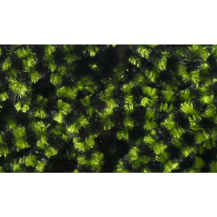 Chartreuse green and black synthetic chenille for fly body wrapping