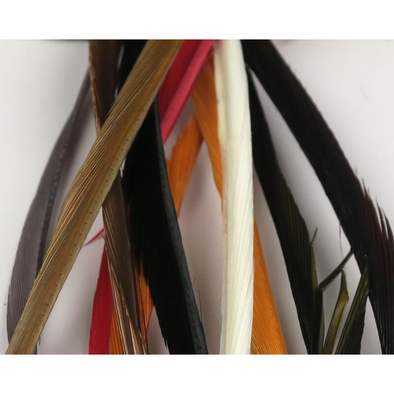 Macro view of multi-color stripped goose biots showing segmented rachis
