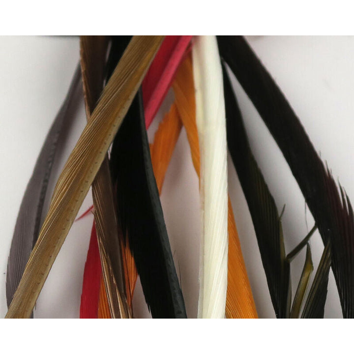 Macro view of multi-color stripped goose biots showing segmented rachis