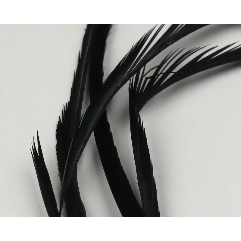 Black stripped goose biot feathers for fly tying stonefly patterns