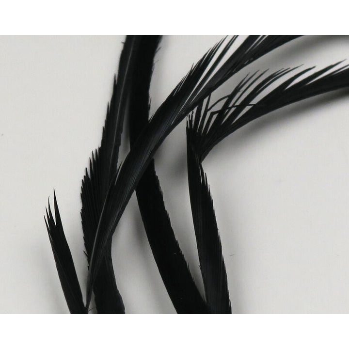 Black stripped goose biot feathers for fly tying stonefly patterns