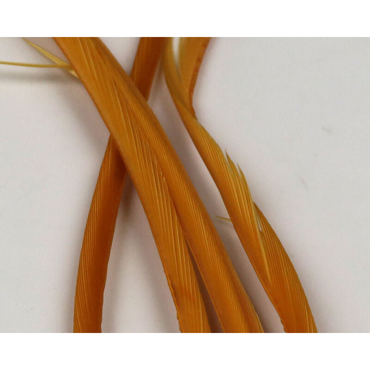 Golden-orange stripped goose biot feathers with ribbed texture detail