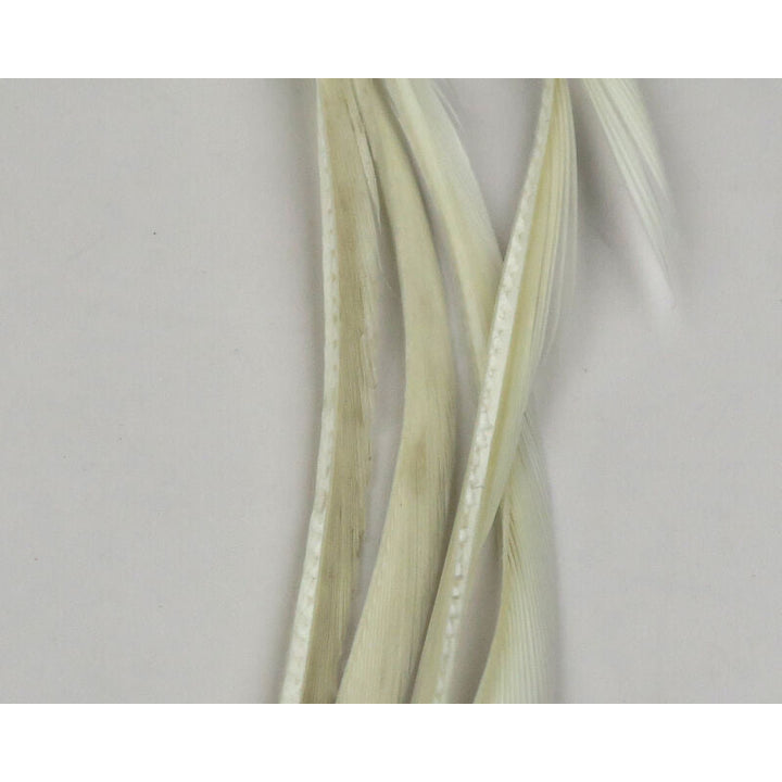Cream colored stripped goose biots with smooth translucent quill shaft