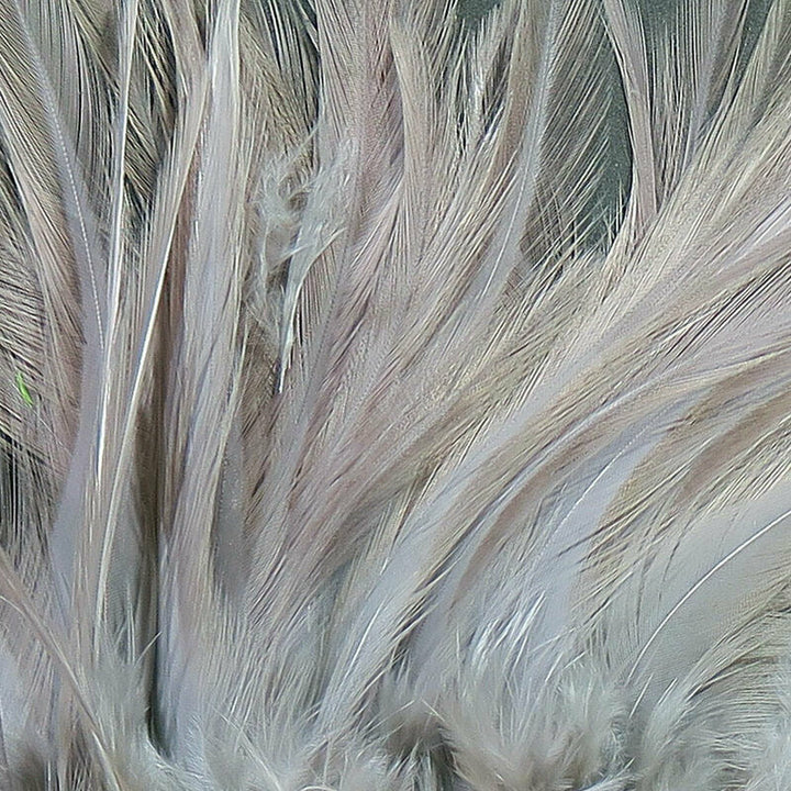 Strung Saddle Hackle  - All Colors