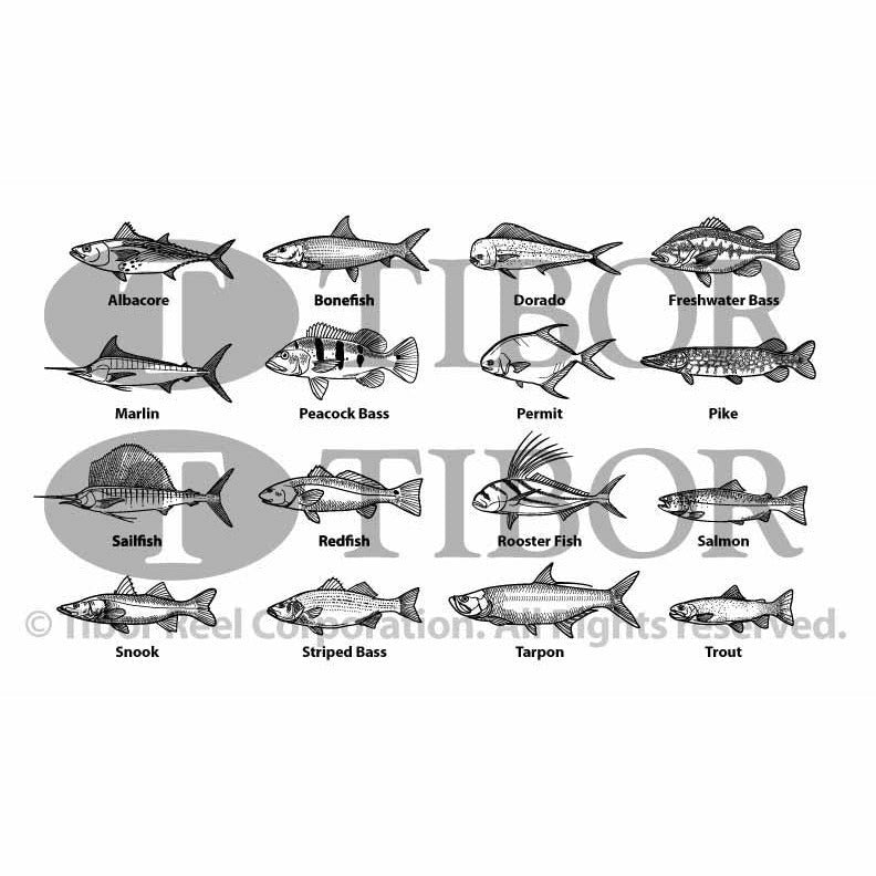 Tibor Fish Engraving