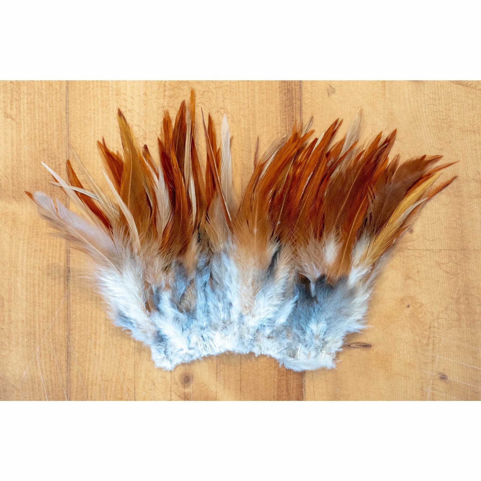 Strung Rooster Saddles (Long) - All Colors